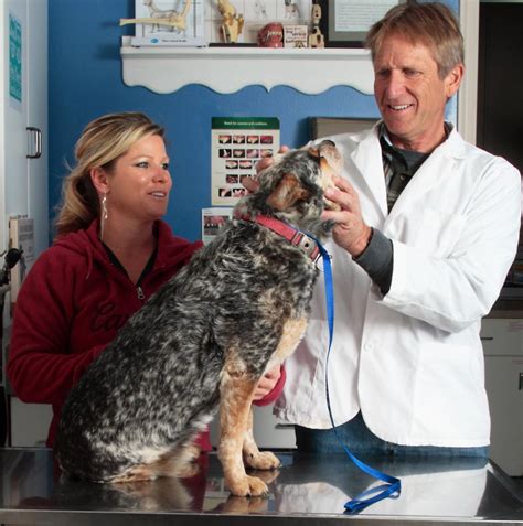 Arcadia Veterinary Hospital