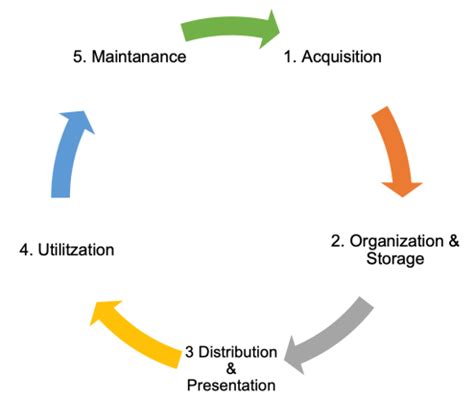 Knowledge Management Life Cycle 的图像结果