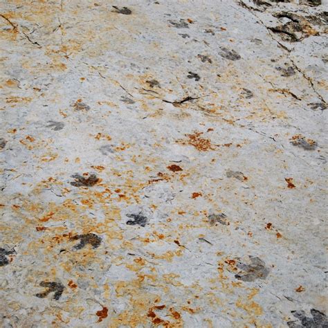 DINOSAUR RIDGE (2025) All You Need to Know BEFORE You Go (with Photos ...