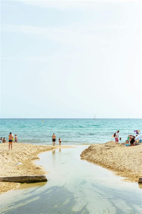 Swim 的图像结果