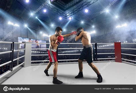 Professional Boxing 的图像结果