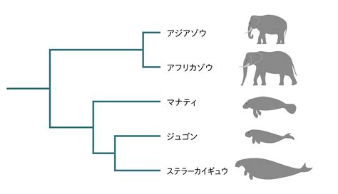 Image result for Multigraph with Parallel Edges Example