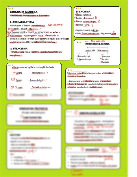 Classification Chart 的图像结果