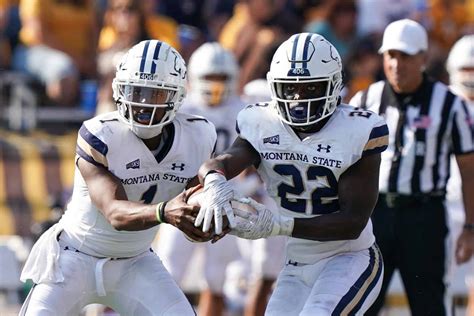 Montana State adds Maine to 2024 football schedule