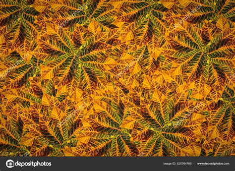Background Seamless Texture Leaves — Stock Photo © aguspriantokepanjen ...