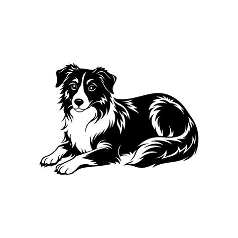 Australian shepherd silhouette illustration white background | Premium ...