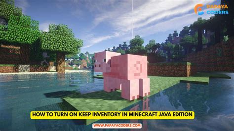 Image result for How to Turn On Keep Inventory Minecraft Java