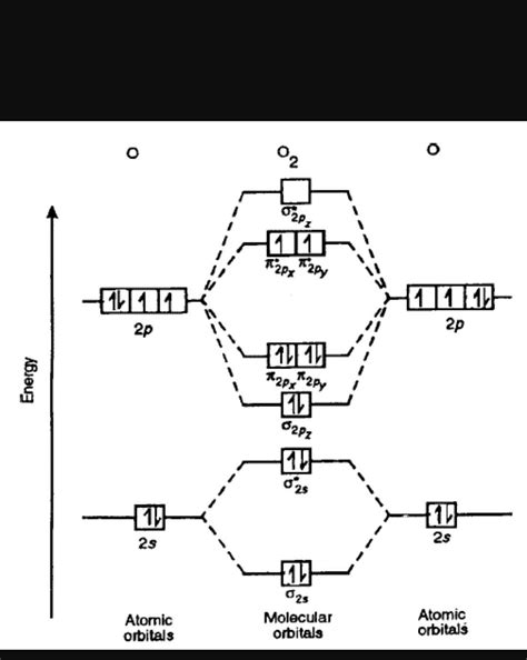 molecule orbital diagram of nitrogen and oxygen molecules with nature ...