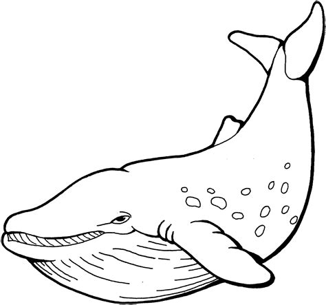 Whale Printable Coloring Pages