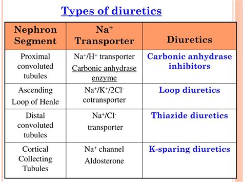 Types Of High Ceiling Diuretics at Melva Duran blog