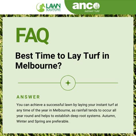 Best Time to Lay Turf In Melbourne? | Lawn care, Lawn maintenance, Turf