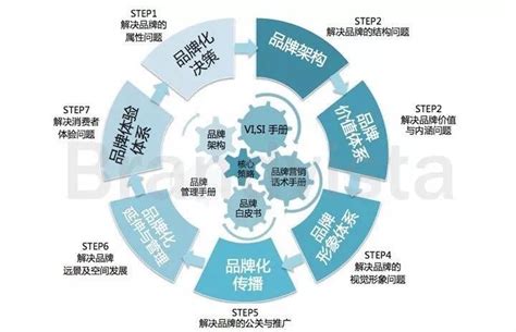 品牌战略规划怎么写? - 知乎