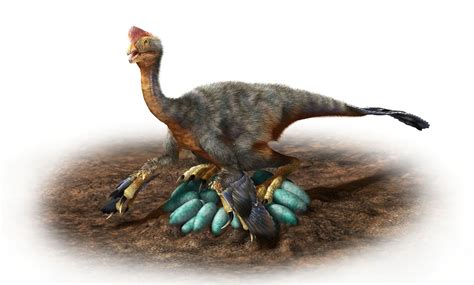 江西发现完整保存的大型植食性恐龙化石
