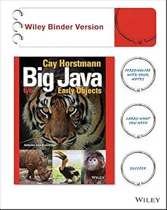 Image result for Big Java