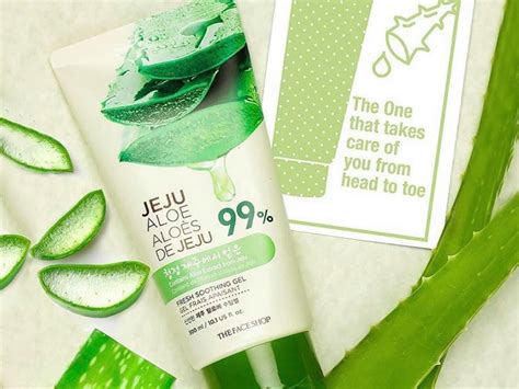 manfaat aloe vera pada rambut