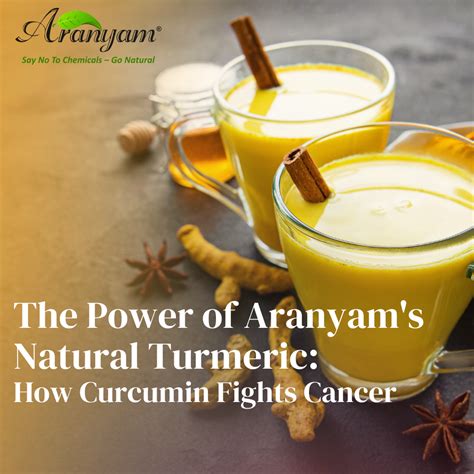 The Power of Aranyam's Natural Turmeric: How Curcumin Fights Cancer ...