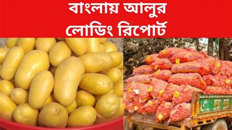 Potato Price In West Bengal: রাজ্যে এবার কত আলু স্টোরে লোড হল-লাভ কেমন ...