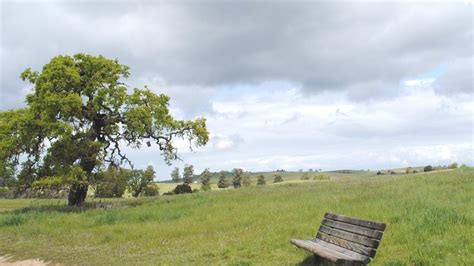 Volunteer Outdoors in Palo Alto at Pearson-Arastradero Preserve ...