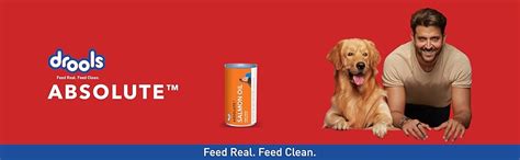 Buy Drools Absolute Salmon Oil Syrup- Dog Supplement Online at Low ...