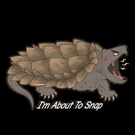 Image result for Origami Snapping Turtle