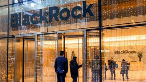 BlackRock's $185 billion plan to increase equity exposure fuels AI ...