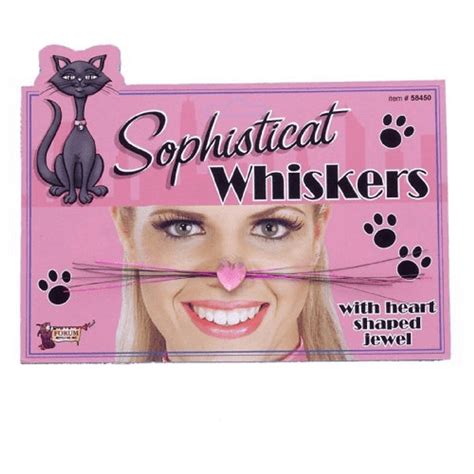 Cat Whiskers Makeup