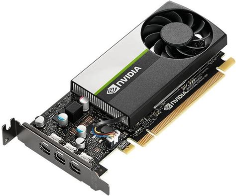 Amazon.in: Buy PNY NVIDIA T400 4GB GDDR6 64-bit PCI Express 3.0 x16 ...