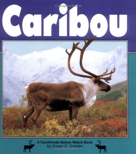Caribou (Nature Watch) : Quinlan, Susan E.: Amazon.in: Books