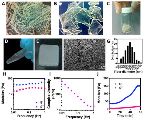 Channeled ECM-Based Nanofibrous Hydrogel for Engineering Vascularized ...