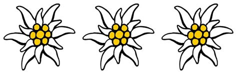 Category Edelweiss for the house Miller - Holiday Village and apartment ...