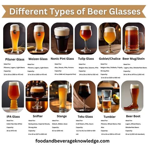 15 Different Types Of Beer Glasses: Size, Styles, And Why They Matter ...