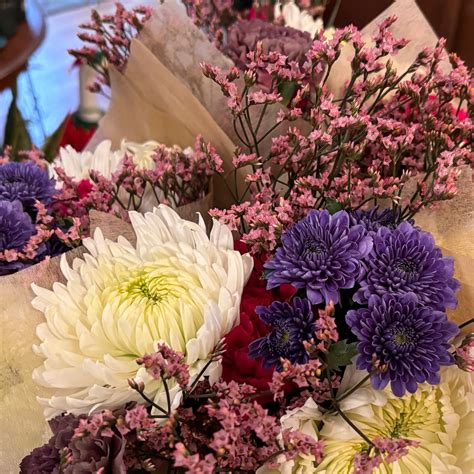 The Green Goose Shop 🪿 (@greengooseshop) • Instagram photos and videos