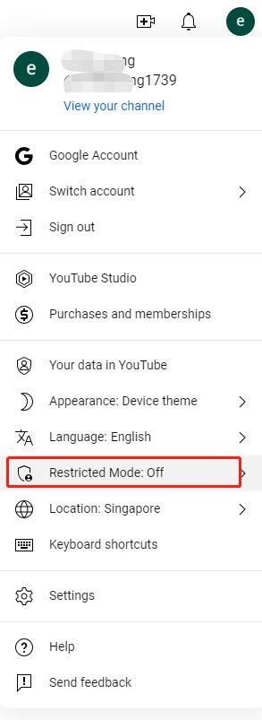 Image result for Disable Restricted Mode On Computer