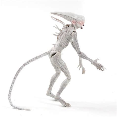 Alien Chestburster Drawing 的图像结果