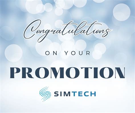 Simulation Tech Inc 的图像结果