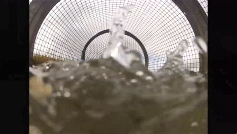 水下实拍鱼笼捕鱼全过程，原来鱼是这样进入陷阱的，长见识了！_腾讯视频