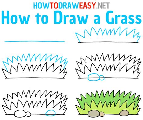 How to Draw a Grass - Draw for Kids