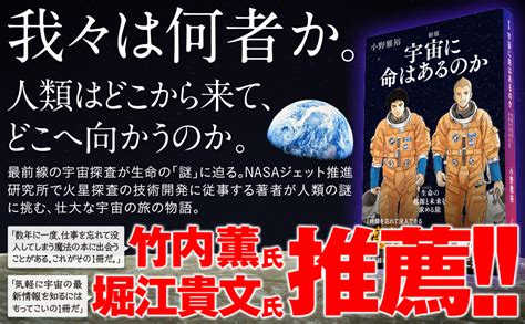Image result for Alien Attack Opshnol Gier
