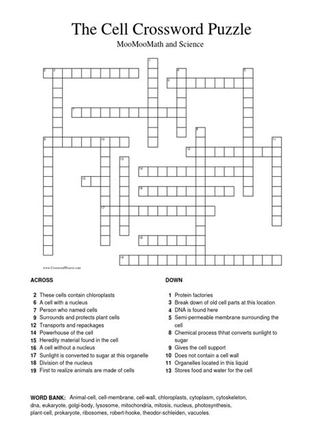 A Cell Crossword Puzzle | PDF | Cell (Biology) | Cell Nucleus
