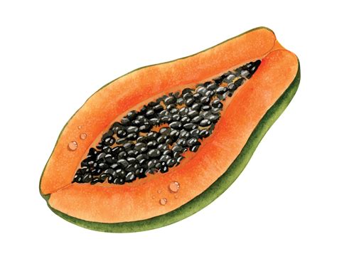 Papaya Images