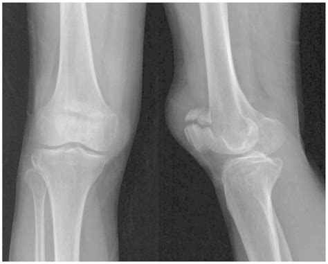 Experimental and Therapeutic Medicine