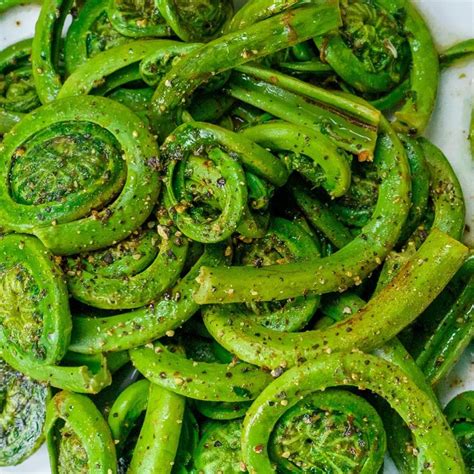 Fiddlehead Ferns Recipe