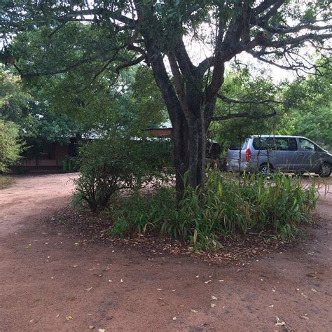 INGULULE SAFARI CAMP (Hoedspruit) - Ranch Reviews & Photos - Tripadvisor