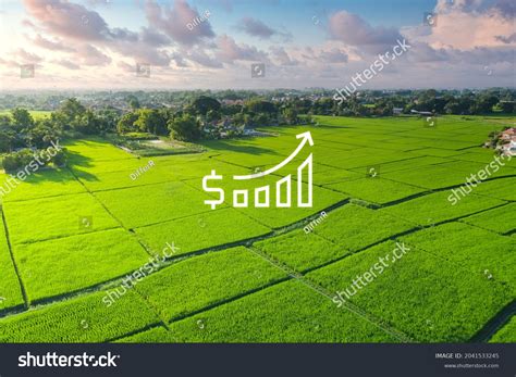 Commercial Land 的图像结果