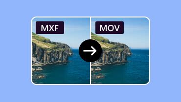 Open MXF File 的图像结果