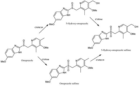 Impact of Cytochrome P450 Enzymes on the Phase I Metabolism of Drugs