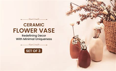 Buy PUREZENTO Rustic Ceramic Bud Vase - Set of 3 | Centerpiece ...