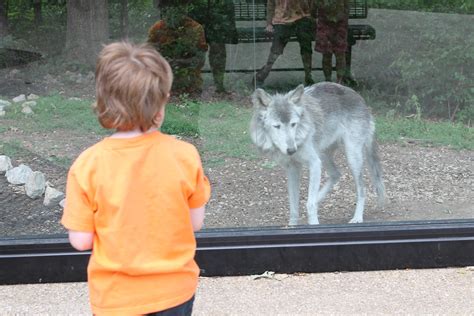 Hoorahoopti Away: Scovill Zoo-Decatur, IL