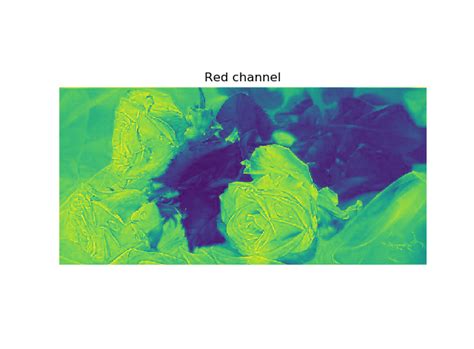 Computer Vision Histogram OpenCV Python 的图像结果