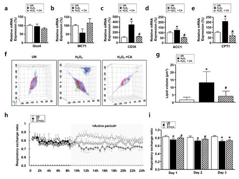Camphene Attenuates Skeletal Muscle Atrophy by Regulating Oxidative ...